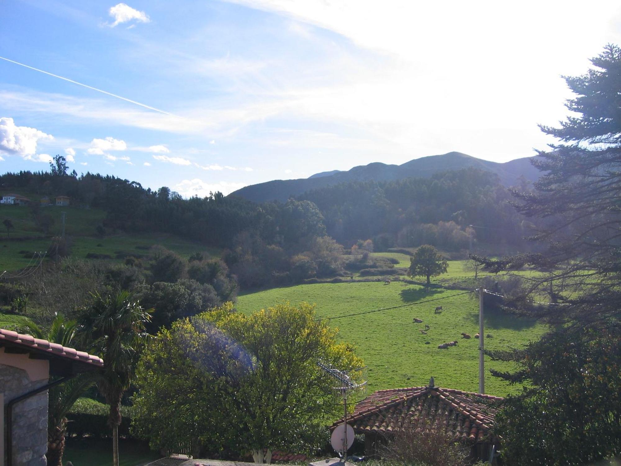 Apartamentos El Cueto De Los Collado Villanueva de Pria Bagian luar foto